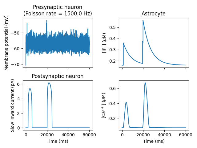 Inspect neuron and astrocyte interactions