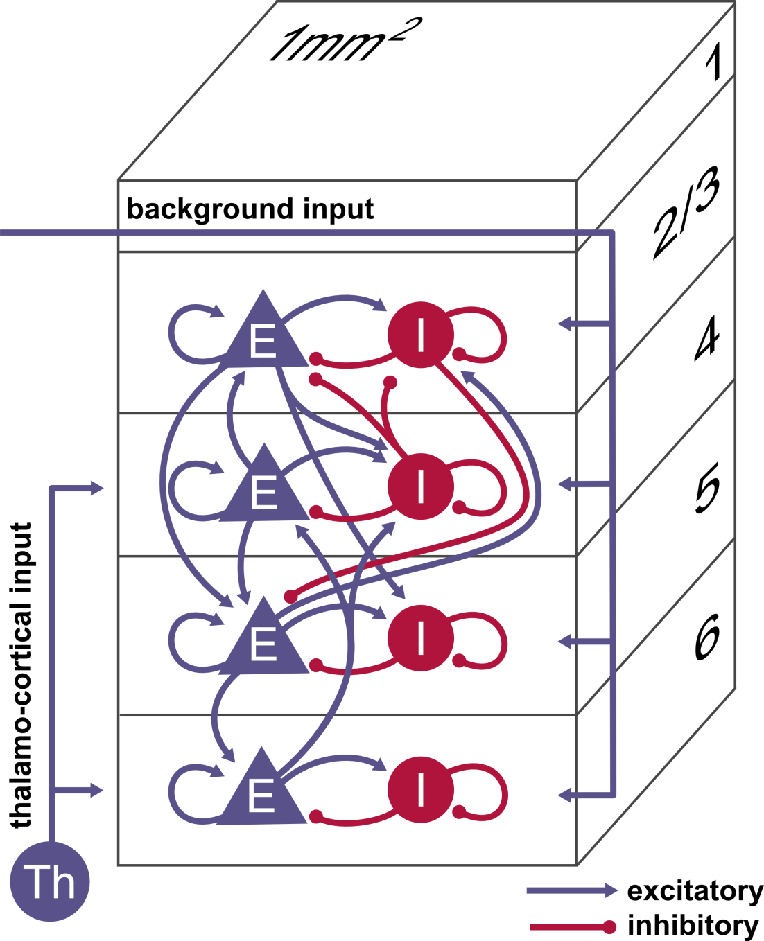 ../../_images/potjans_2014_microcircuit.png