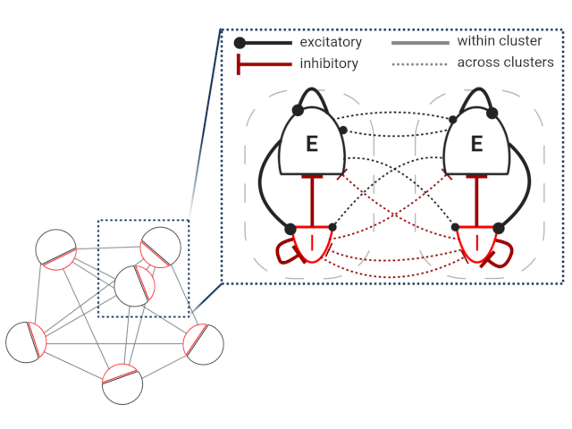 EI-clustered circuit model.