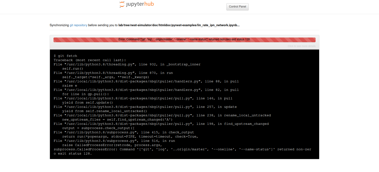 ../_images/error-jupyter-ebrains.png